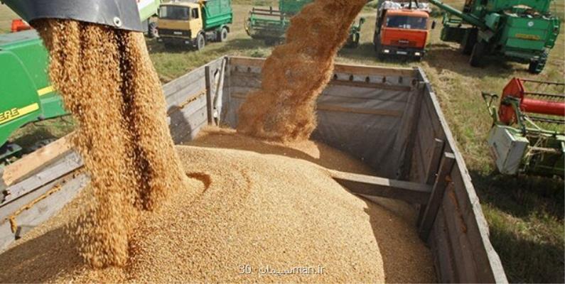 ۱ و چهار دهم میلیون تن گندم مازاد برمصرف كشاورزان در كشور خریداری شده است