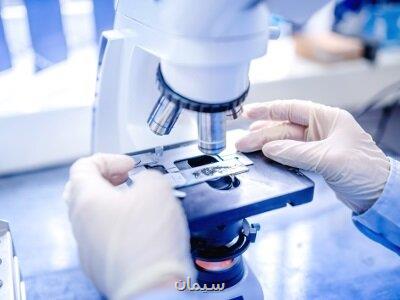 خدمات بلاعوض آزمایشگاهی به شركت های دانش بنیان اعطا می شود
