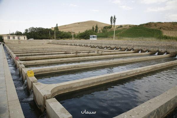 آبزی پروری در قم قربانی دیگر خشكسالی!!