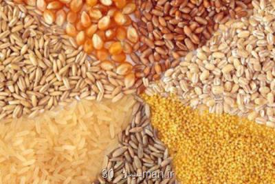 زنگ خطر کمبود ذرت با کاهش موجودی بنادر