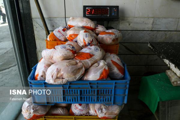 تازه ترین قیمت مرغ در بازار