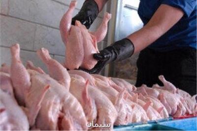 توزیع ۲۷۰ تن مرغ کشتار روز در خوزستان