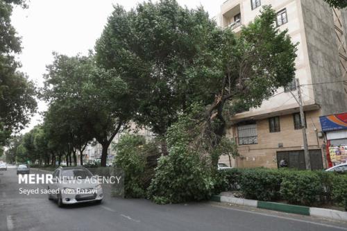 هواشناسی ایران ۸ خرداد پیش بینی طوفان در تهران و البرز