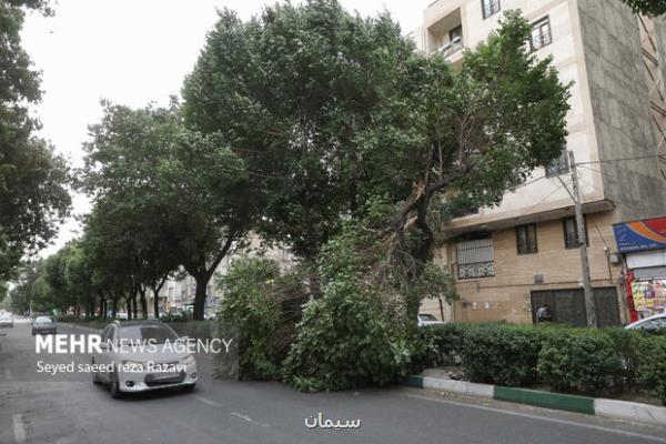 هواشناسی ایران ۸ خرداد پیش بینی طوفان در تهران و البرز