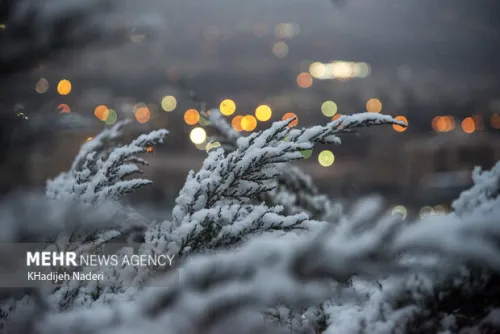 اخطار هواشناسی به ۲۵ استان خسارت به محصولات کشاورزی با تشدید بارندگی ها