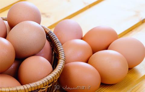 قیمت تخم مرغ در همدان افزایش یافته اما علت مشخص نیست
