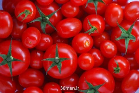 صادرات گوجه فرنگی نوعی خام فروشی است