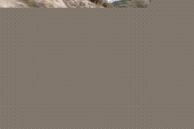 مدلهای پرفروش پورشه در آمریكا