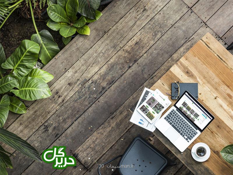 چند ترفند ساده برای زیبا كردن منزل با گیاهان آپارتمانی
